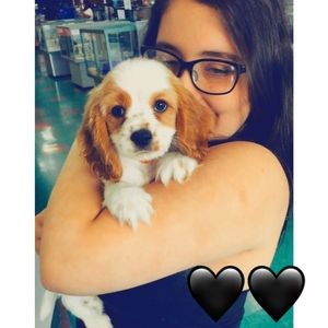 Meet your Posher, Marcey